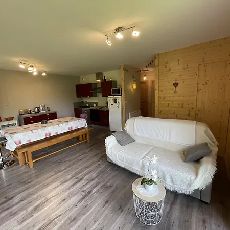 Appartement **appartement T3 Avec Terrasse, Parking Et Proche Pistes** - Fr-1-787-48 *